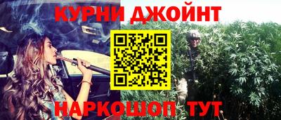 apvp Бийск