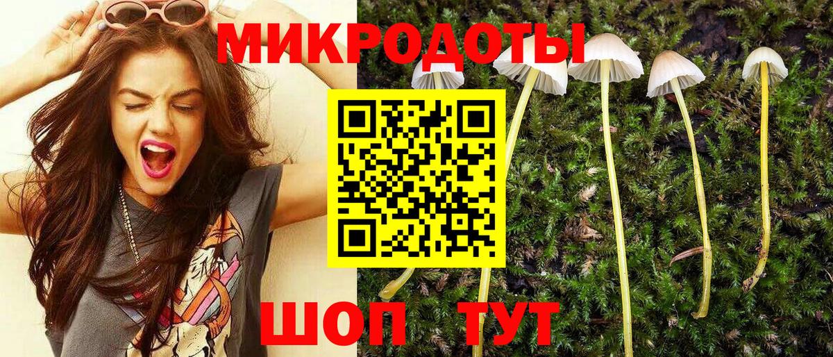 Псилоцибиновые грибы мицелий Ачинск